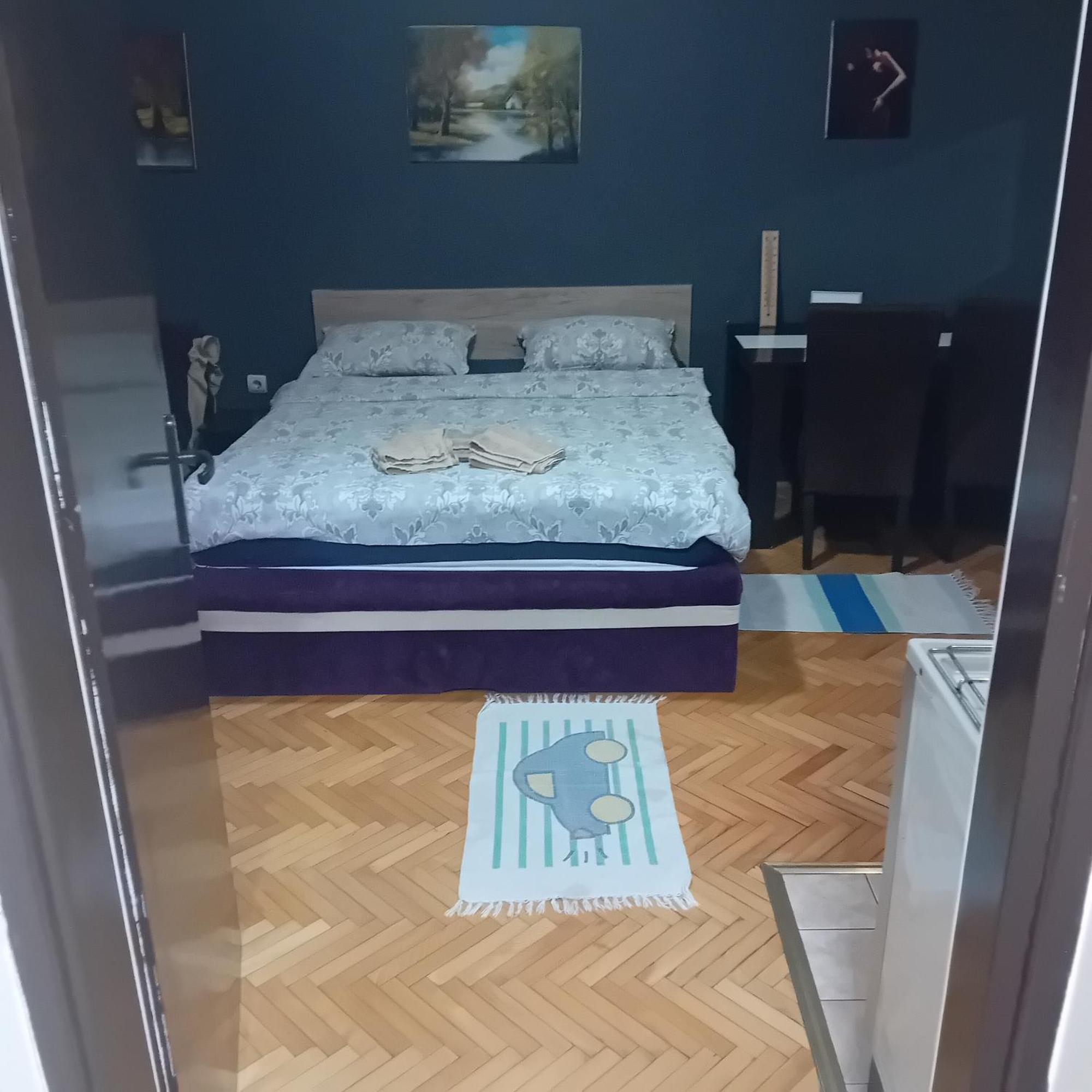 Apartment Viktor 2 Stan Na Dan Šabac المظهر الخارجي الصورة